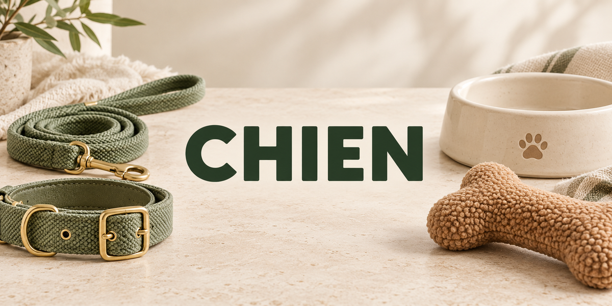 CHIEN