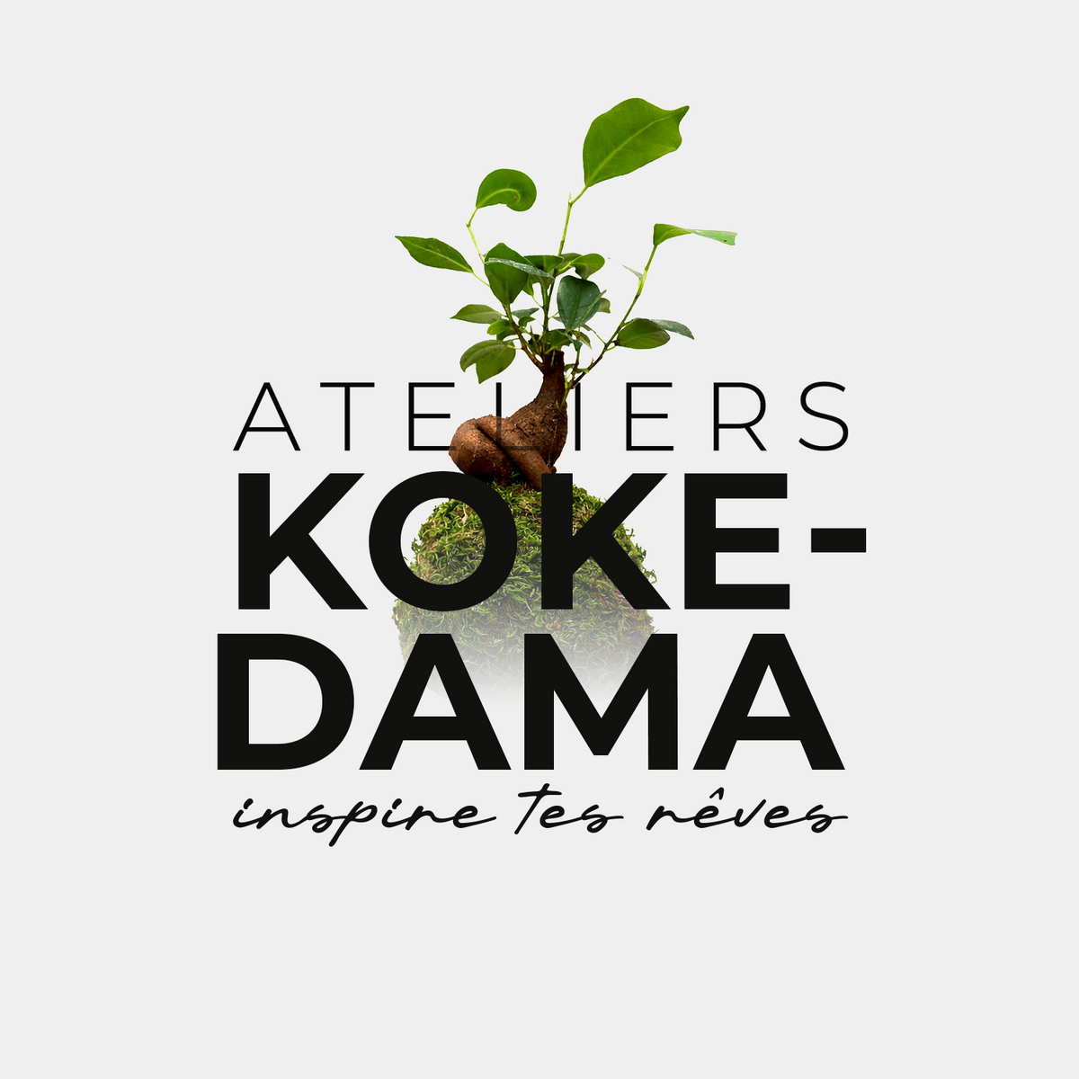 Atelier classique KOKEDAMA