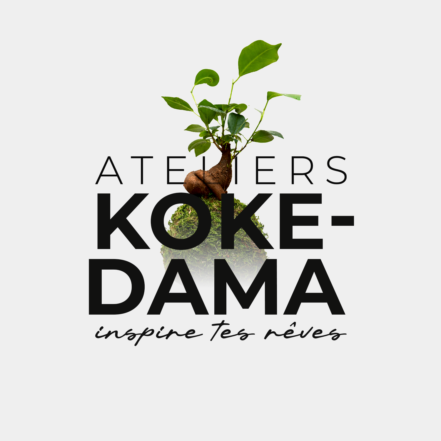 Atelier KOKEDAMA