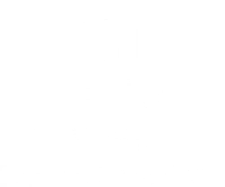 Henry Le Fleuriste